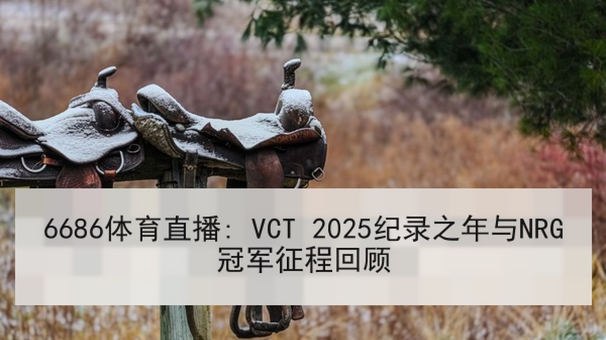 6686体育直播: VCT 2025纪录之年与NRG冠军征程回顾