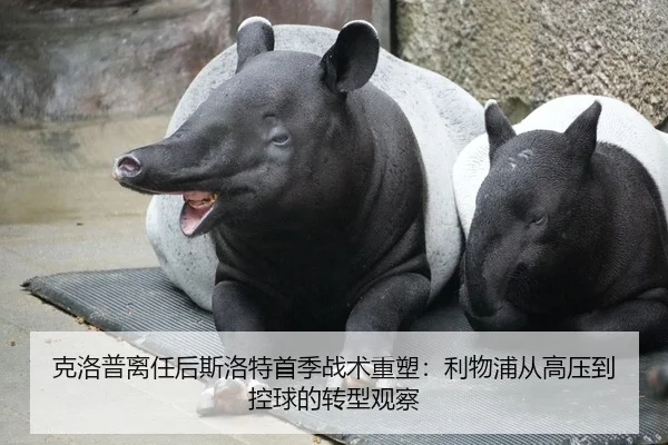 克洛普离任后斯洛特首季战术重塑：利物浦从高压到控球的转型观察
