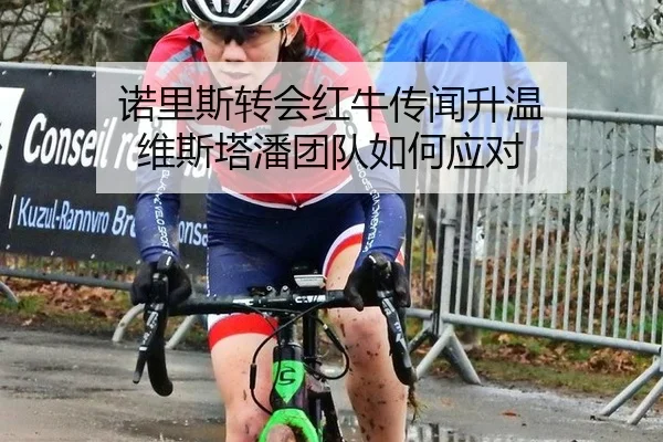 nuo-li-si-zhuan-hui-hong-niu-chuan-wen-sheng-wen-wei-si-ta-pan-tuan-dui-ru-he-ying-dui-3-287.jpg