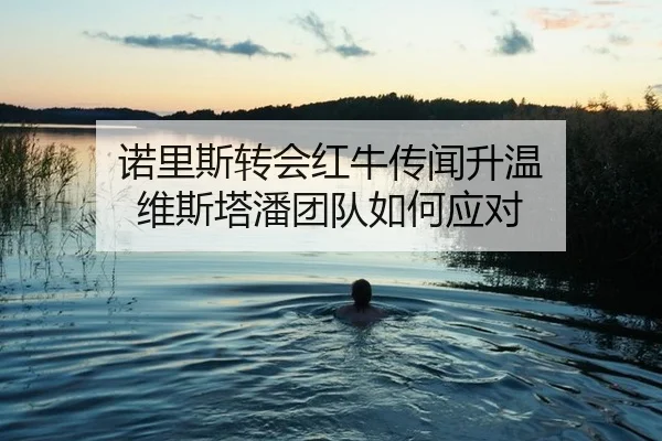 诺里斯转会红牛传闻升温 维斯塔潘团队如何应对